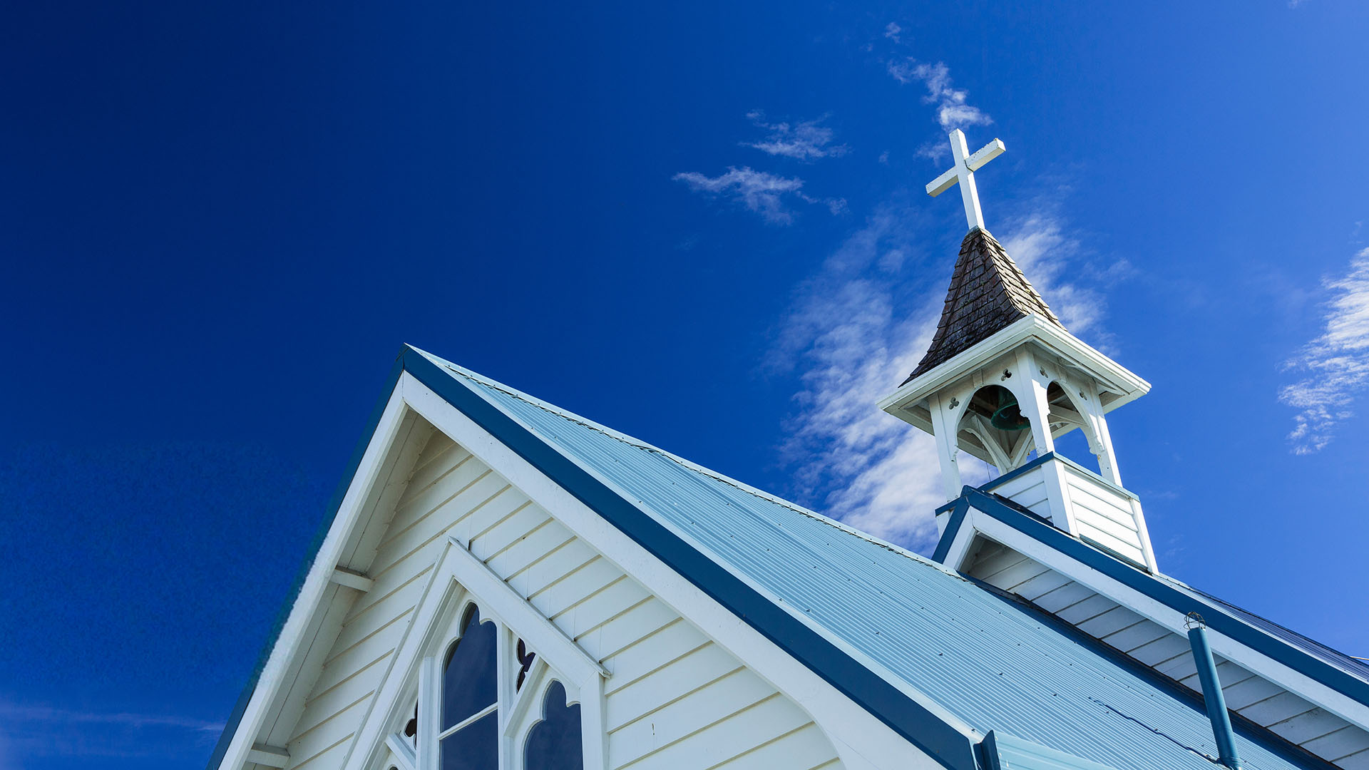 Rooted, Renewed and Ready