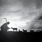 Four Problems on a Christ Follower’s Path