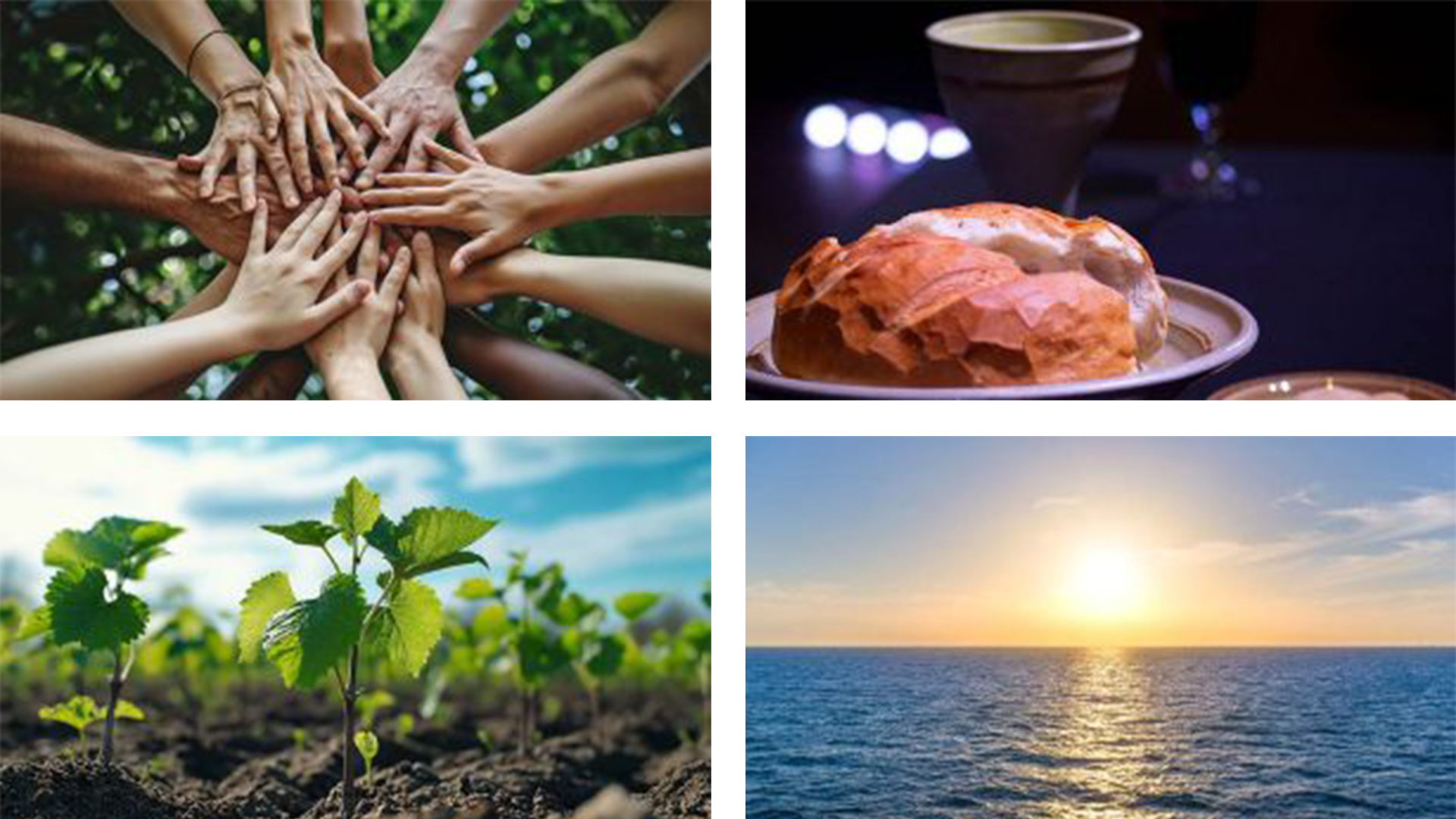 Live the Mission This Summer