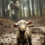 Imitating Our Caring Shepherd